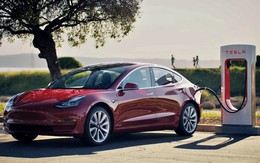 Tesla tiếp tục tấn công thị trường Đông Nam Á, viễn cảnh VinFast cạnh tranh Tesla trên đất Việt dễ thành hiện thực