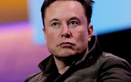 Mới tuyên bố tạo ra đối thủ của ChatGPT, Elon Musk đã than phiền: AI khiến tôi bị căng thẳng