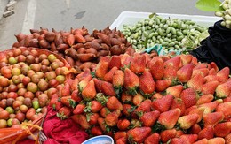 Hà Nội: Hoa quả đặc sản tưởng rẻ hóa đắt, loại đắt giá lại rẻ không tưởng