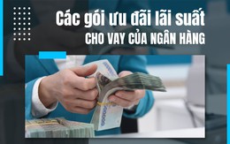 [Infographic] Chi tiết các gói ưu đãi lãi suất đang được ngân hàng triển khai