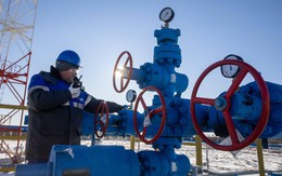 Bí mật giúp các nhà ‘buôn’ dầu Nga vận hành trơn tru cỗ máy kiếm tiền bất chấp lệnh trừng phạt