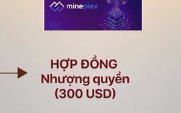 Ngân hàng điện tử tự xưng Mineplex hoạt động trái phép