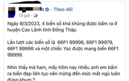 Đồng Tháp xác minh 4 biển số xe 'siêu đẹp' được bấm ra ở huyện Cao Lãnh