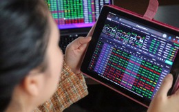 Cổ phiếu bất động sản, thép bị bán mạnh