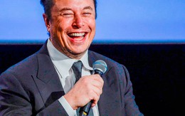 Elon Musk bí mật phát triển trí thông minh nhân tạo dù vừa kêu gọi thế giới tạm ngừng phát triển công nghệ này