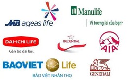 Bảo Việt, Manulife, Prudential, Dai-ichi và AIA rót hơn 25.500 tỷ đầu tư cổ phiếu trên sàn, nhiều doanh nghiệp dự phòng lỗ lớn