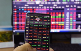 Cổ phiếu bất động sản nằm la liệt tại giá sàn