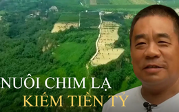 Người đàn ông làm giàu từ ‘chim cao 2m’, giá một con đã 34 triệu: Khi người khác thua lỗ vẫn có sáng kiến 'lội ngược dòng' kiếm 24 tỷ đồng/năm