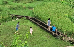 Nửa năm rời phố về làng sống như một giấc mơ của gia đình nhỏ, nơi những đứa trẻ mê tít chẳng muốn về