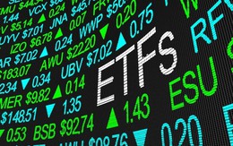 Được cho rằng sẽ trở thành xu hướng đầu tư mới, vì sao các ETF nội vẫn khó hút tiền dù hàng chục quỹ đã ra mắt?