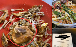 Nhà hàng cho khách dùng nước lẩu thừa lên tiếng xin lỗi: Ông nội nữ nhân viên mới mất, có lẽ do quá đau lòng nên mới sai sót