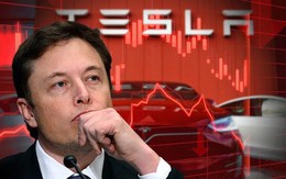 Các nhà sản xuất ô tô có 'run sợ' khi Elon Musk tuyên bố sẵn sàng hy sinh lợi nhuận của Tesla để giành thị phần?