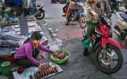 Tạp chí Mỹ ấn tượng mạnh với đặc sản "ít ai dám ăn" ở Việt Nam: Món khoái khẩu của dân địa phương, vào vụ mùa cả làng cùng "đi săn" mới kịp bán