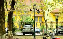 Ngắm con đường lãng mạn nhất Hà Nội rực vàng mùa sấu thay lá