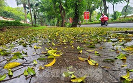 Người dân Thủ đô chật vật đi làm trong mưa rét bất thường