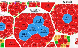 Vì sao cổ phiếu bất ngờ lao dốc?