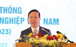 Chủ tịch nước Võ Văn Thưởng nói về việc xử lý sai phạm doanh nghiệp, cá nhân thời gian qua