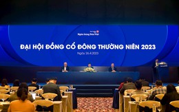ĐHCĐ Ngân hàng Bản Việt: Mục tiêu lợi nhuận tăng 10% trong năm nay, đổi tên viết tắt thành BVBank
