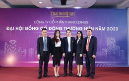 ĐHĐCĐ Thaiholdings (THD): Mục tiêu lãi 241 tỷ, đang tiếp cận dự án & doanh nghiệp tại các thành phố lớn, trực thuộc TW, mạnh về du lịch