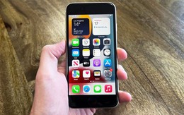 Chiếc iPhone thất bại nhất Việt Nam: Chưa bị khai tử nhưng đã phải rút khỏi kệ chỉ trong vài tháng mở bán