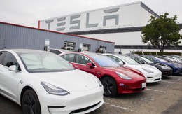 Bí mật xấu xí của Tesla: Làm xe điện nhưng xả hàng chục triệu tấn CO2, bị điều tra vì ngó lơ yếu tố khí thải
