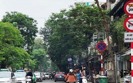 Tạm bỏ cấm taxi trên 9 tuyến phố Hà Nội từ ngày 29/4