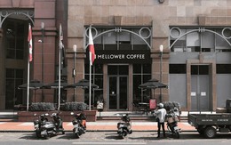 Bán ly bạc sỉu giá 100.000 đồng, thương hiệu cà phê nổi tiếng Trung Quốc ngậm ngùi đóng cửa vĩnh viễn tại Việt Nam chỉ sau 4 năm