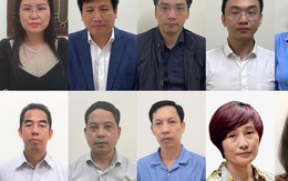 Đề nghị truy tố cựu thứ trưởng Ngoại giao, cựu phó chủ tịch Hà Nội trong vụ chuyến bay giải cứu