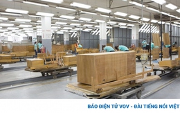 Doanh nghiệp xuất khẩu dăm gỗ “kêu” bị chậm hoàn thuế VAT: Tổng cục Thuế nói gì?