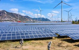 Chủ đầu tư dự án Điện mặt trời Trung Nam lãi 251 tỷ đồng, giảm 12% trong năm 2022, còn 13 lô trái phiếu với dư nợ 2.350 tỷ