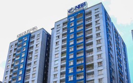 Năm Bảy Bảy (NBB) đặt mục tiêu lợi nhuận 2023 cao gấp 3 lần, tiếp tục muốn hủy chi trả cổ tức cho cổ đông