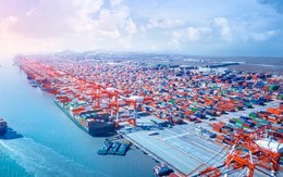 "Dồn lực" cho dự án Container Hoà Phát, một doanh nghiệp cung cấp sơn đặt mục tiêu doanh thu nghìn tỷ, lợi nhuận tăng trưởng 50%