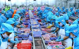 35/45 mặt hàng xuất khẩu chính của Việt Nam giảm mạnh