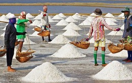 Nước có đường bờ biển dài gấp 10 lần Việt Nam nhưng thiếu muối, nhập khẩu đến 90%, nghị sĩ thốt lên: "Đáng xấu hổ"