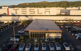 Tesla đối măt cáo buộc xâm phạm quyền riêng tư của khách hàng