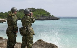 Vụ rơi trực thăng Nhật Bản: Tướng quân đội vừa nhậm chức một tuần thì gặp nạn