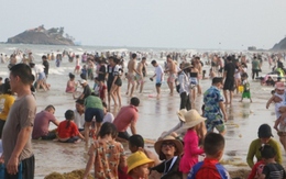 Khách tắm biển ở Bà Rịa- Vũng Tàu đông nhưng tiêu thụ hải sản không tăng