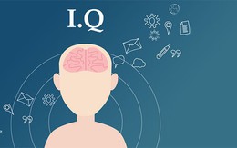 10 người có IQ cao nhất thế giới là ai? Nhà bác học Albert Einstein chỉ xếp thứ 8, vị trí thứ 3 được mệnh danh là "người ngoài hành tinh"