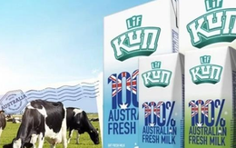 Công ty sở hữu thương hiệu sữa Ba Vì chuẩn bị chia cổ tức tiền mặt tỷ lệ 45%
