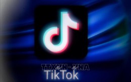 Áo cấm sử dụng TikTok trên điện thoại di động của các cơ quan chính phủ