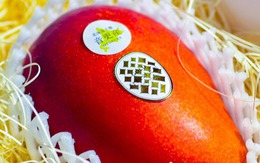 Loại quả bán đầy ở Việt Nam được một người Nhật nâng tầm thành trái cây siêu đắt giá hơn 5 triệu đồng/quả như thế nào?