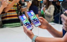 Đang trải qua năm khó khăn nhất trong lịch sử ngành kinh doanh iPhone, các nhà bán lẻ chọn cách thích nghi ra sao?