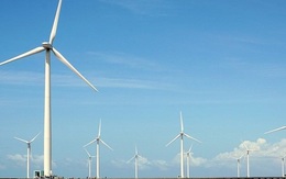 2 nhà máy điện gió được phê duyệt giá bán điện tạm thời