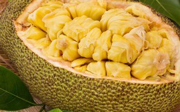 Loại trái cây được mệnh danh là "quả thần", có thể cứu sống con người: Nhiều nước vứt đi, Việt Nam vô cùng ưa chuộng