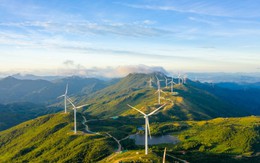 Tin vui cho 23 nhà đầu tư điện gió, điện mặt trời "kêu cứu" vì giá mua điện tạm thời quá thấp: Chính phủ yêu cầu sửa đổi quy định về khung giá điện