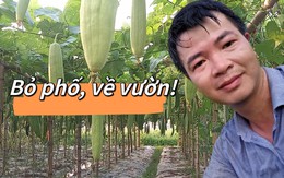 Giám đốc ngân hàng về quê trồng mướp bán xơ: Học "vua cà phê Việt" cách nghĩ lớn làm nhỏ, khát vọng đưa sản phẩm đi Nhật, đi Mỹ