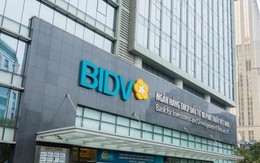 BIDV sắp bán khoản nợ 121 tỷ đang được thế chấp 4.086m2 đất Tân Bình, Tp.HCM và 400.000 cổ phiếu DL1