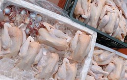 Bộ Nông nghiệp lên tiếng việc hàng chục nghìn tấn gà thải ‘tuồn’ vào Việt Nam