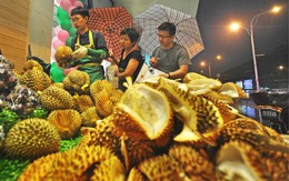 Liệu sầu riêng và hoa quả nhiệt đới Trung Quốc tự trồng có ''tràn ngược'' sang Đông Nam Á? Việt Nam cần lưu ý gì?