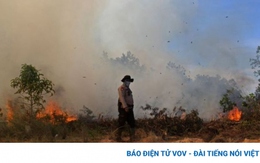 Indonesia làm mưa nhân tạo chống cháy rừng